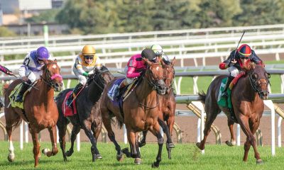 Competitive Horse Race 