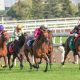 Competitive Horse Race 