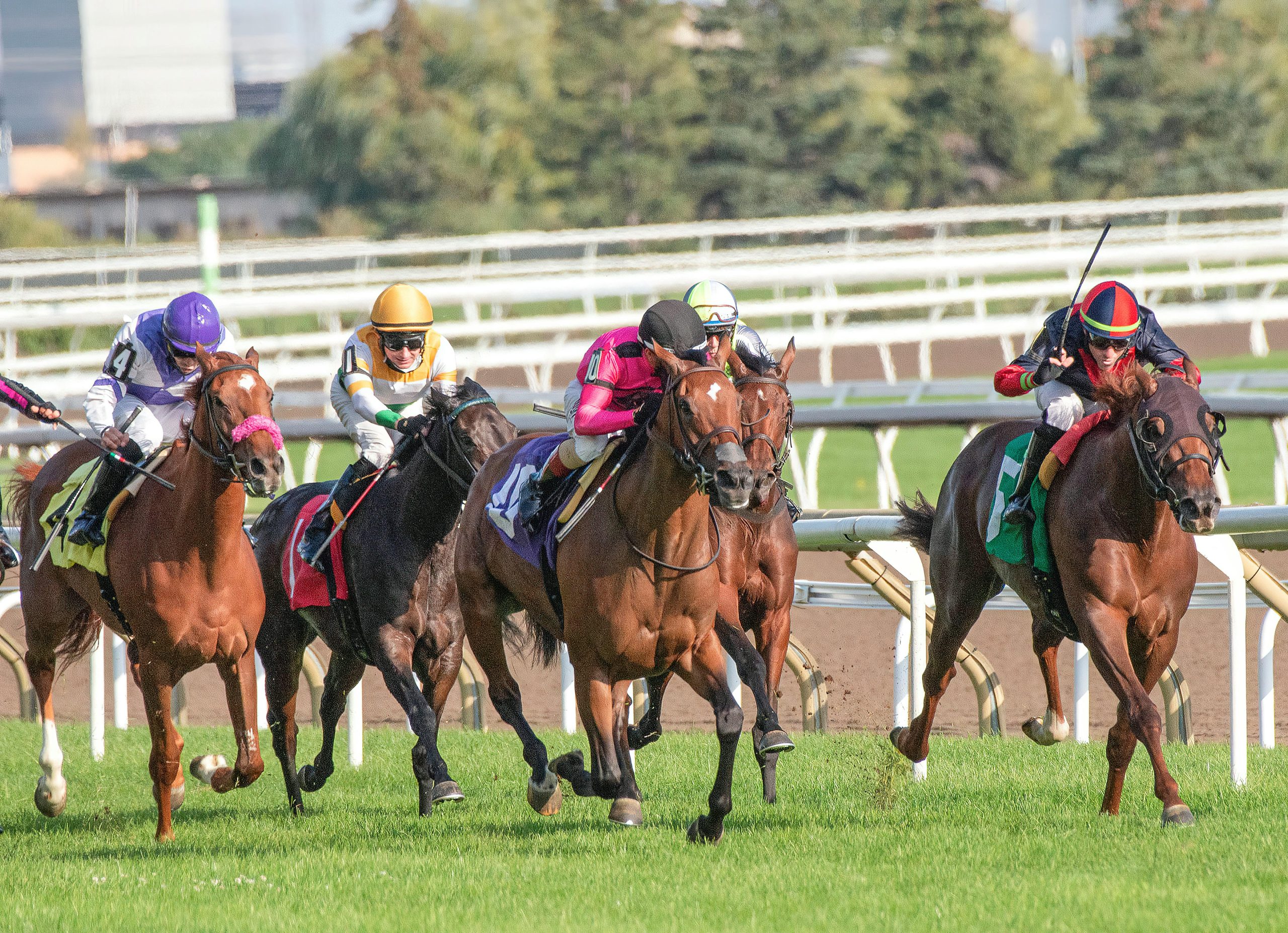 Competitive Horse Race